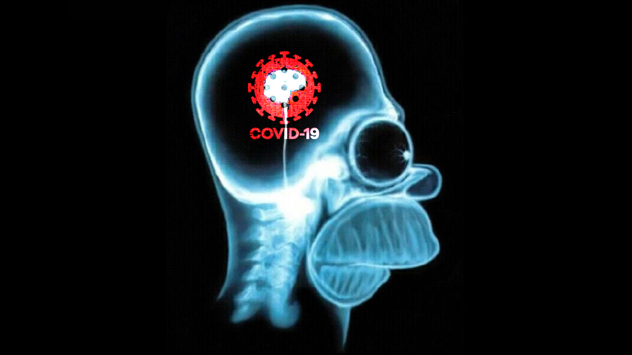 L’ANALFABETISMO FUNZIONALE É LA CAUSA DEL COVID 19 E GREEN PASS! L’ANALFABETISMO FUNZIONALE É LA CAUSA DEL COVID 19 E GREEN PASS!